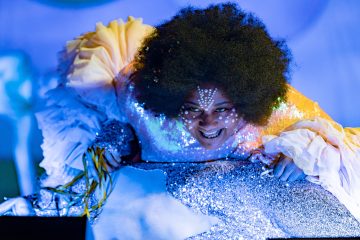 Priscilla, Królowa Pustyni. Musical